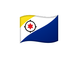 Vlag van Caribisch gebied